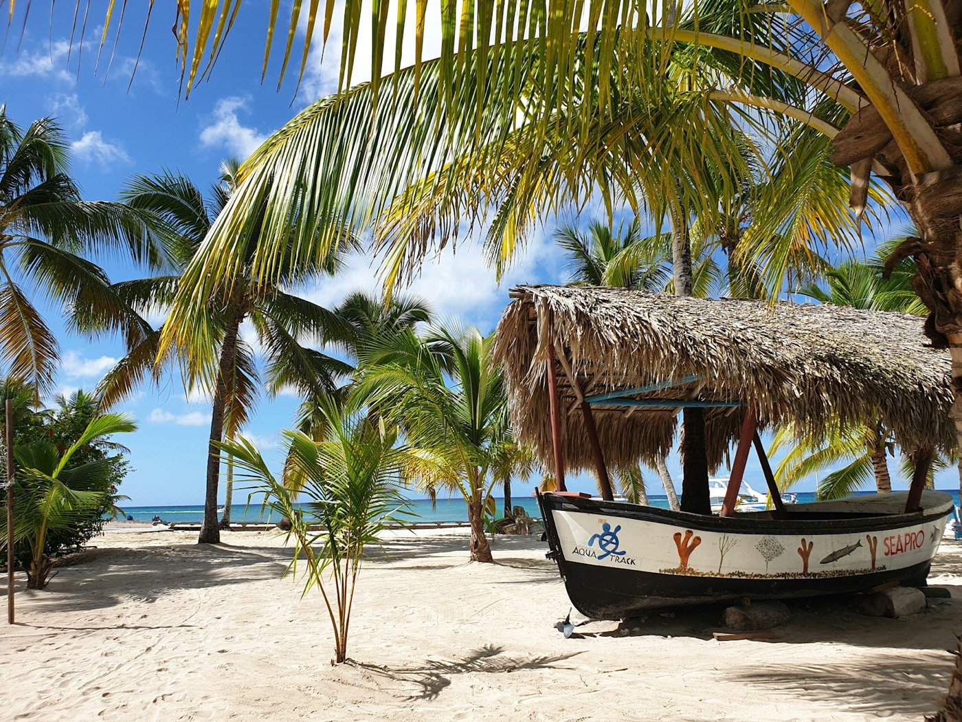 Playa caribeña con palmeras